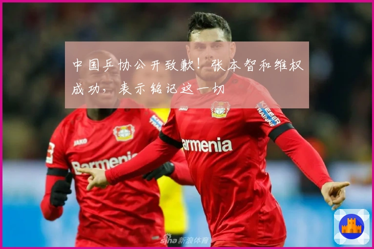 中国乒协公开致歉！张本智和维权成功，表示铭记这一切