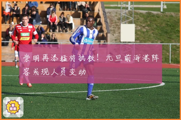 崇明再添猛将执教！元旦前海港阵容或现人员变动