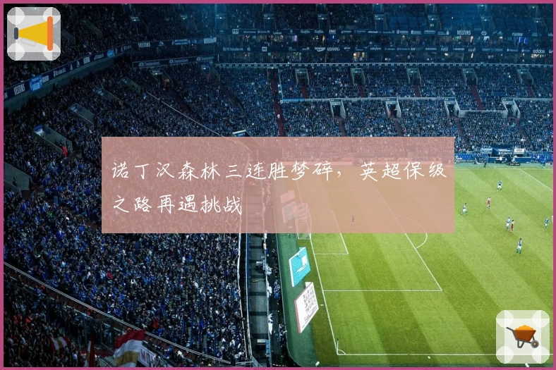 诺丁汉森林三连胜梦碎,英超保级之路再遇挑战