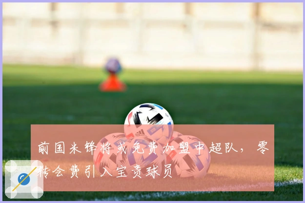 前国米锋将或免费加盟中超队，零转会费引入宝贵球员